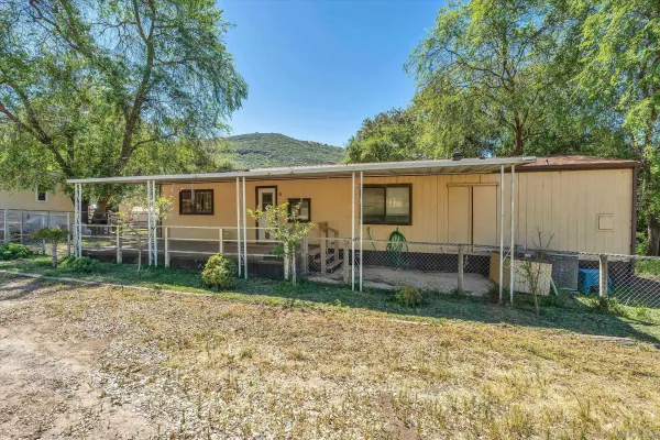 a view of backyard with wooden fence and a large tree