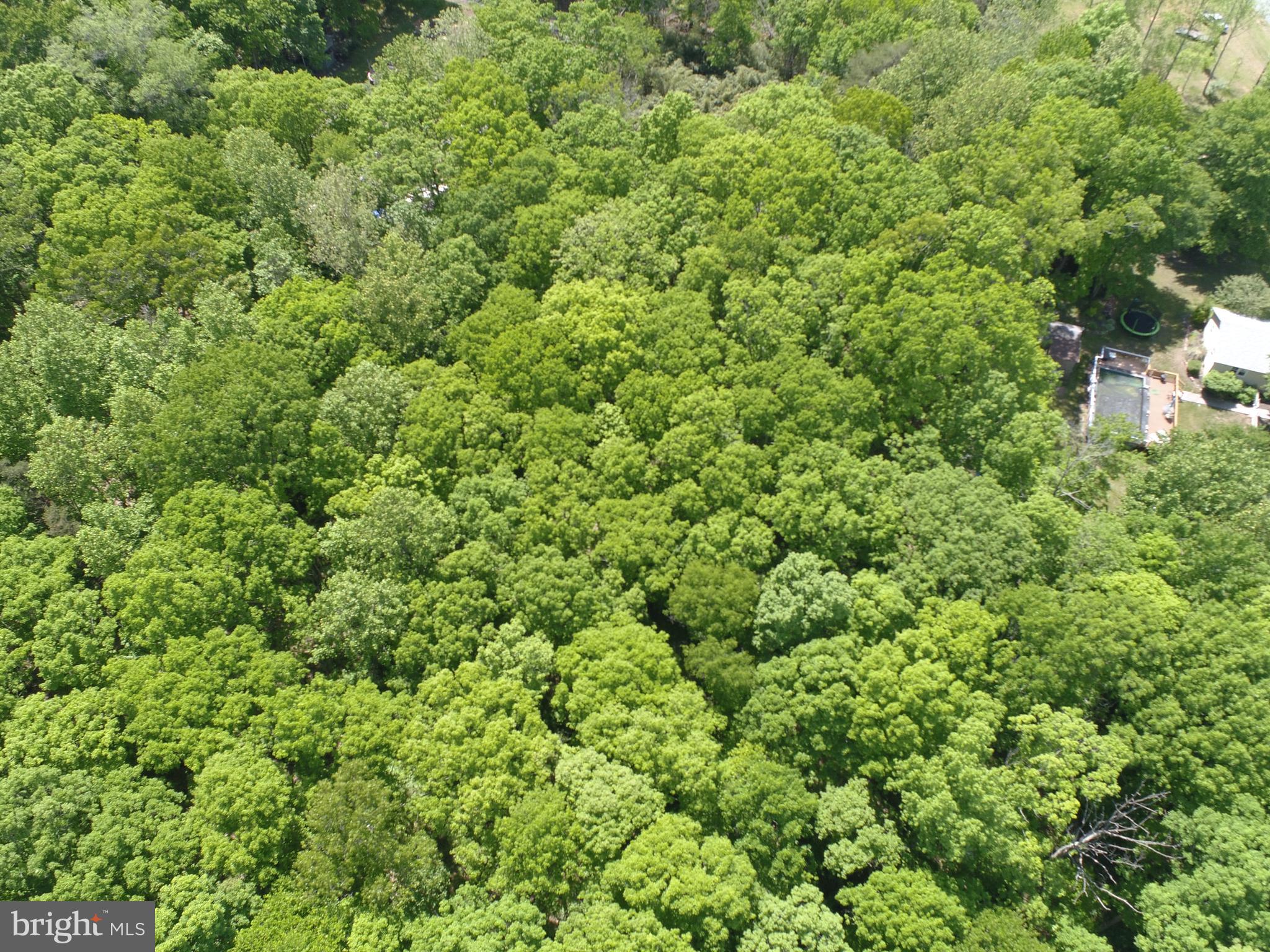 Lot #45-g Tackets Mill Road Stafford, VA 22556 - Photo 39 of 64
