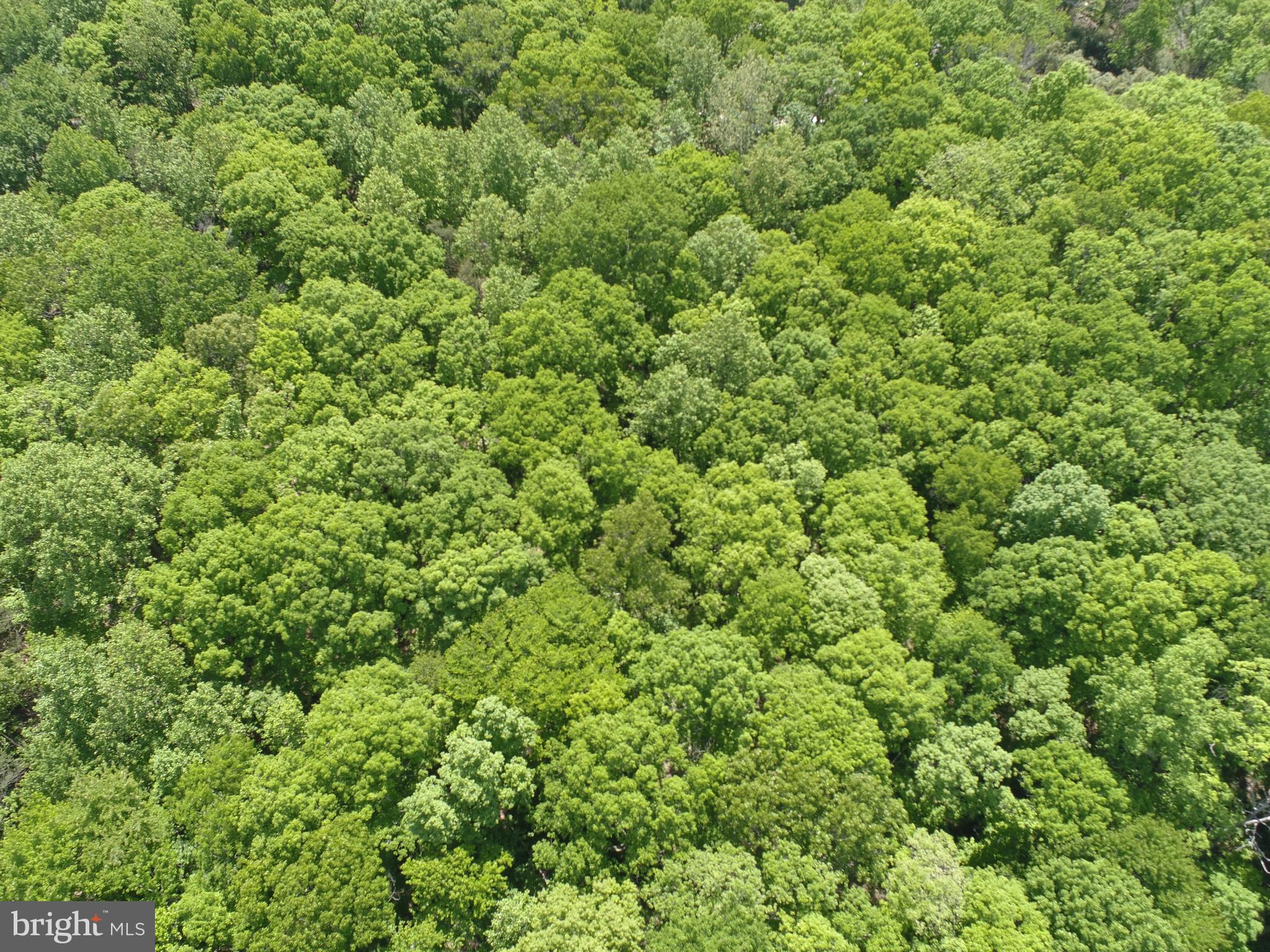 Lot #45-g Tackets Mill Road Stafford, VA 22556 - Photo 40 of 64