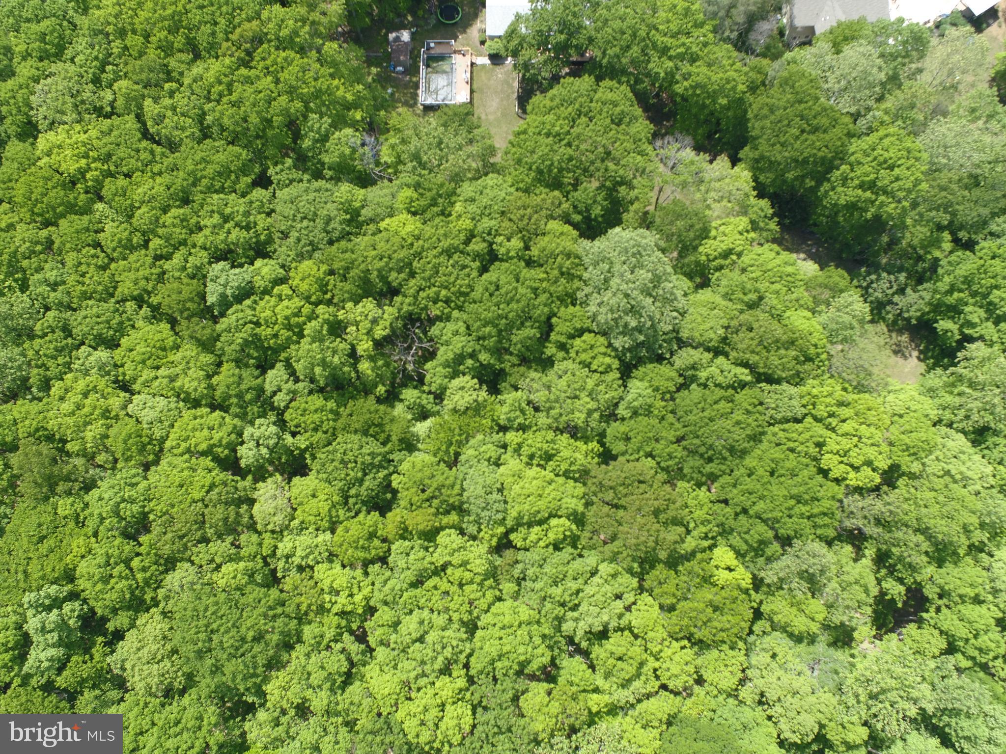 Lot #45-g Tackets Mill Road Stafford, VA 22556 - Photo 48 of 64
