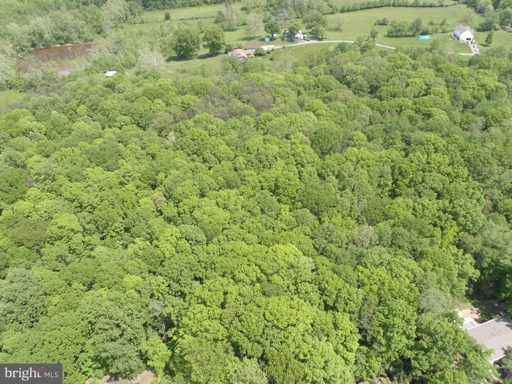 Lot #45-g Tackets Mill Road Stafford, VA 22556 - Photo 50 of 64
