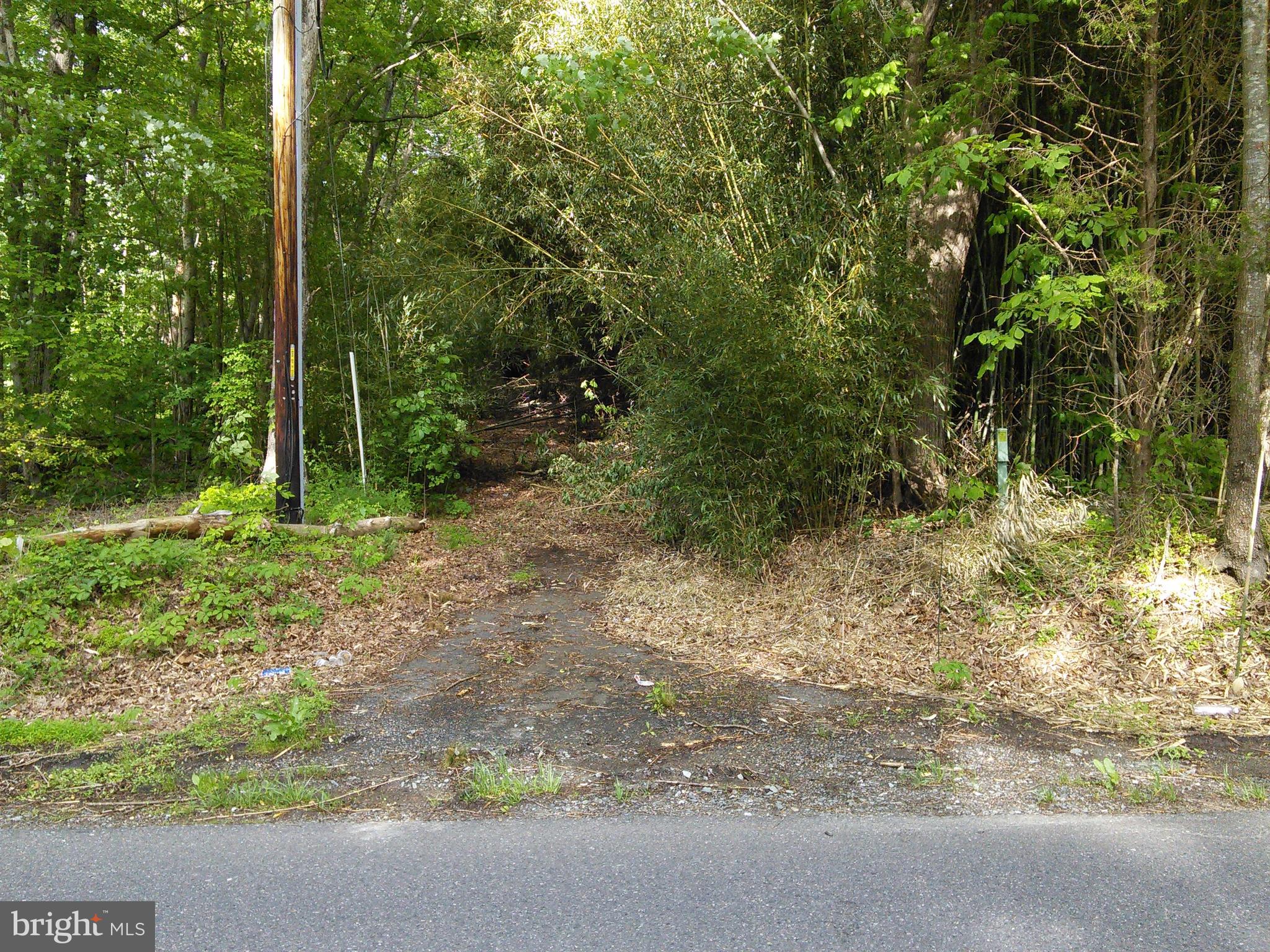 Lot #45-g Tackets Mill Road Stafford, VA 22556 - Photo 59 of 64 Lot boundary line