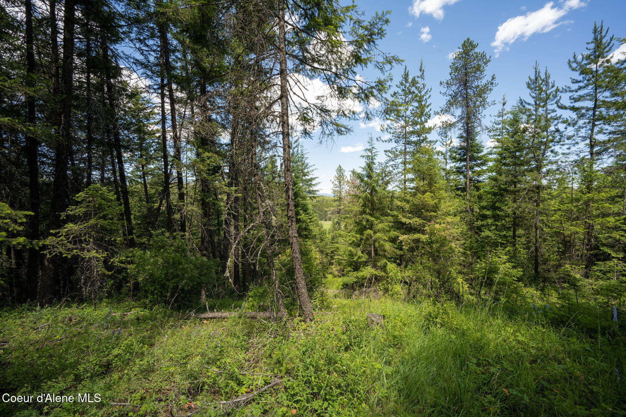 965 Trails End Road Athol, ID 83801 - Photo 17 of 26 Filtered Meadow Views