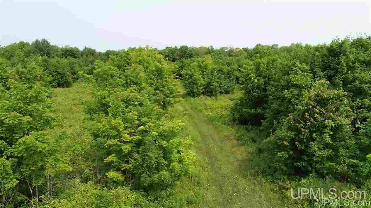 Tbd Southside Road Manistique, MI 49854 - Photo 15 of 36 Gallery Image 15