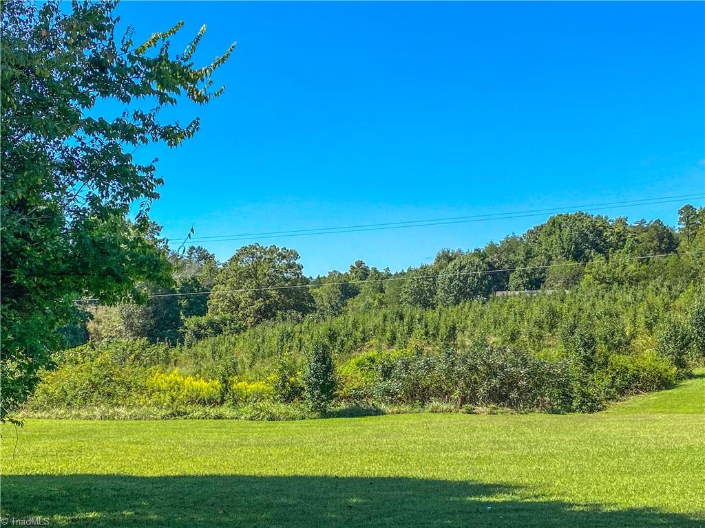 0 Ridge Road Pine Hall, NC 27042 - Photo 1 of 4
