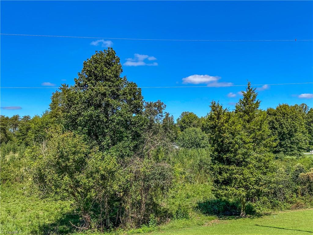 0 Ridge Road Pine Hall, NC 27042 - Photo 2 of 4