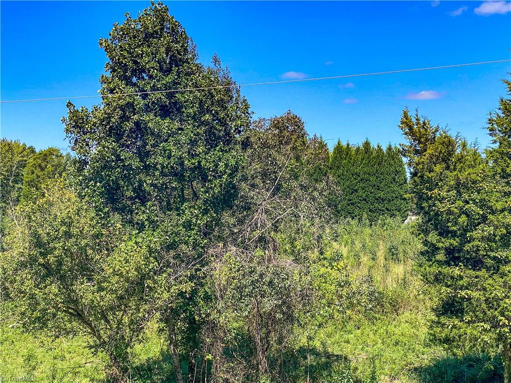 0 Ridge Road Pine Hall, NC 27042 - Photo 3 of 4
