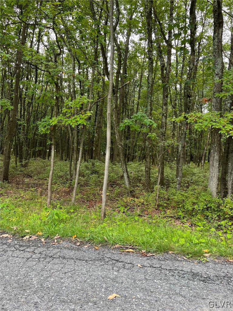 152 Seneca Road, Unit 2504A Albrightsville, PA 18210 - Photo 3 of 7 Gallery Image 3