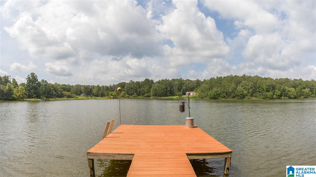 59 Lakeview Drive Oneonta, AL 35121 - Photo 44 of 49