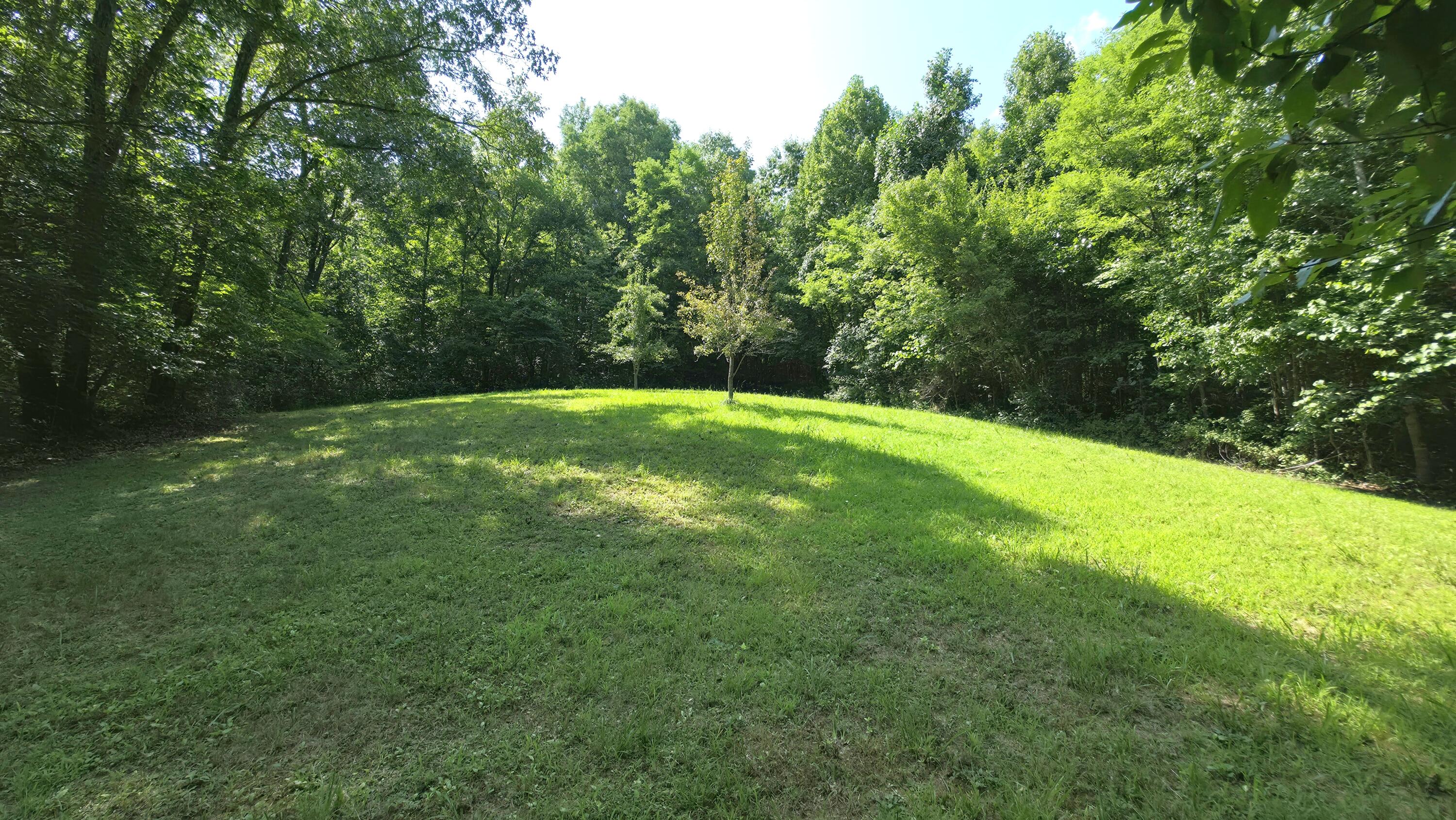 1871 Wayside Talcott Road Wayside, WV 24985 - Photo 66 of 85 Gallery Image 66