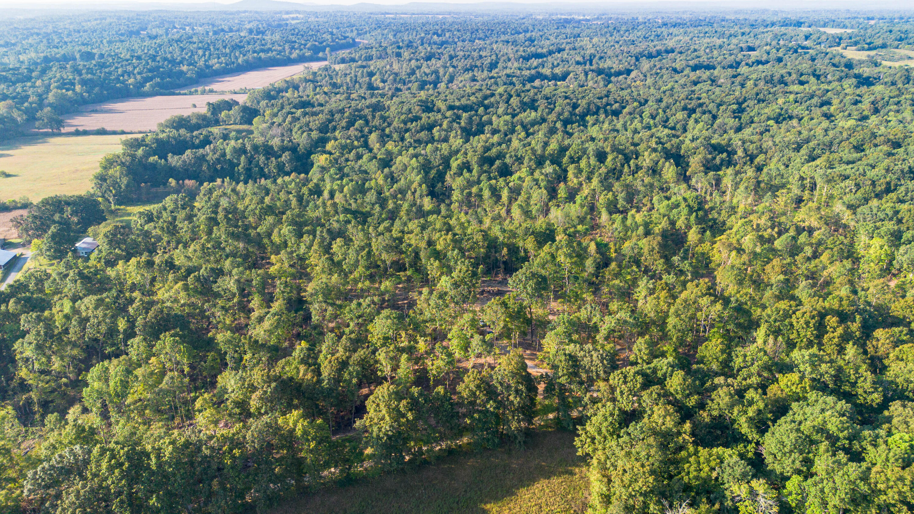 0 Irma White Road Marion, KY 42064 - Photo 5 of 15 DJI_0408