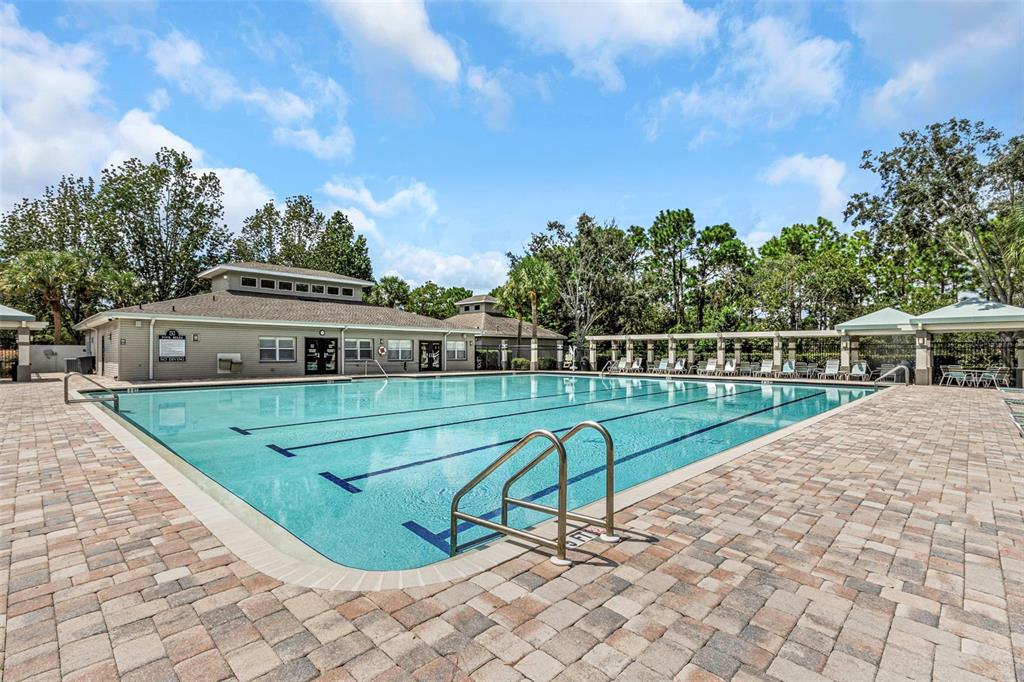 14818 Edgemere Drive Spring Hill, FL 34609 - Photo 66 of 72 a view of a swimming pool with a garden