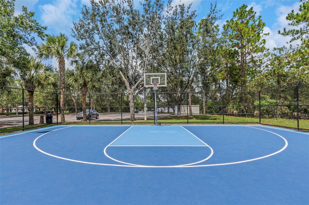 14818 Edgemere Drive Spring Hill, FL 34609 - Photo 70 of 72 a view of a swimming pool and trees