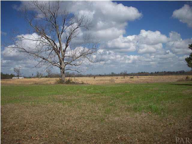 1 County Road Monroeville, AL 36460 - Photo 1 of 9 Here is one view of this stunning property