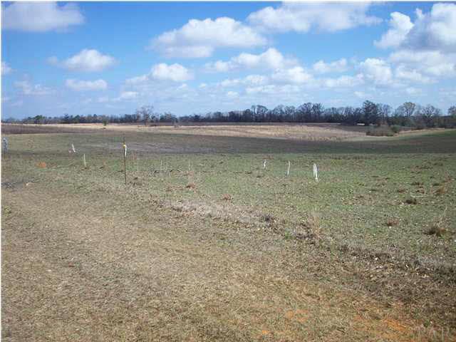 1 County Road Monroeville, AL 36460 - Photo 2 of 9 Perfect for relaxing on a nice summer day