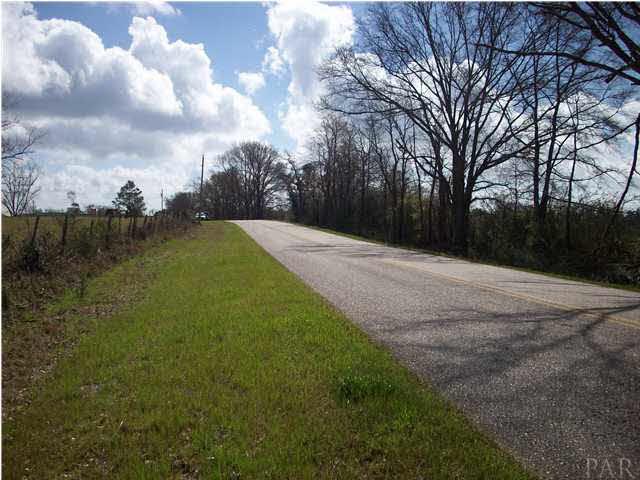 1 County Road Monroeville, AL 36460 - Photo 4 of 9 This is the county Rd that the property is located off of.