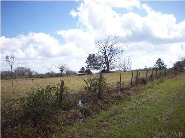 1 County Road Monroeville, AL 36460 - Photo 5 of 9 Make this your dream come true!