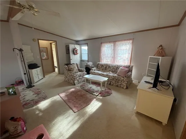 a living room with furniture rug and window