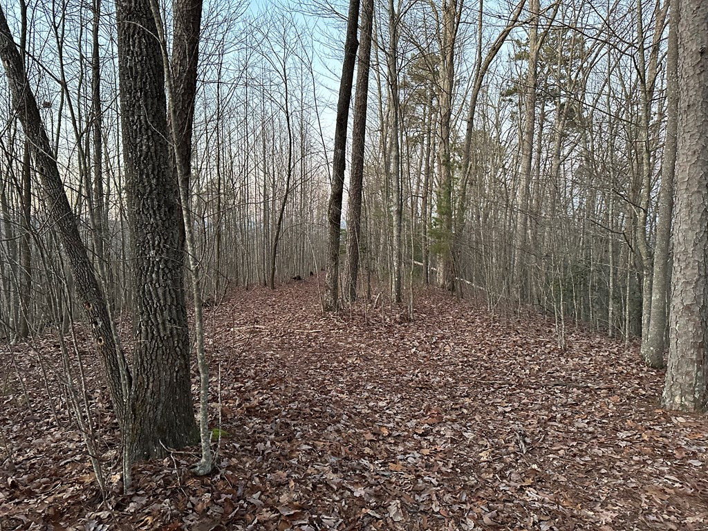 30.57-ac Old Orch Road Murphy, NC 28906 - Photo 20 of 23
