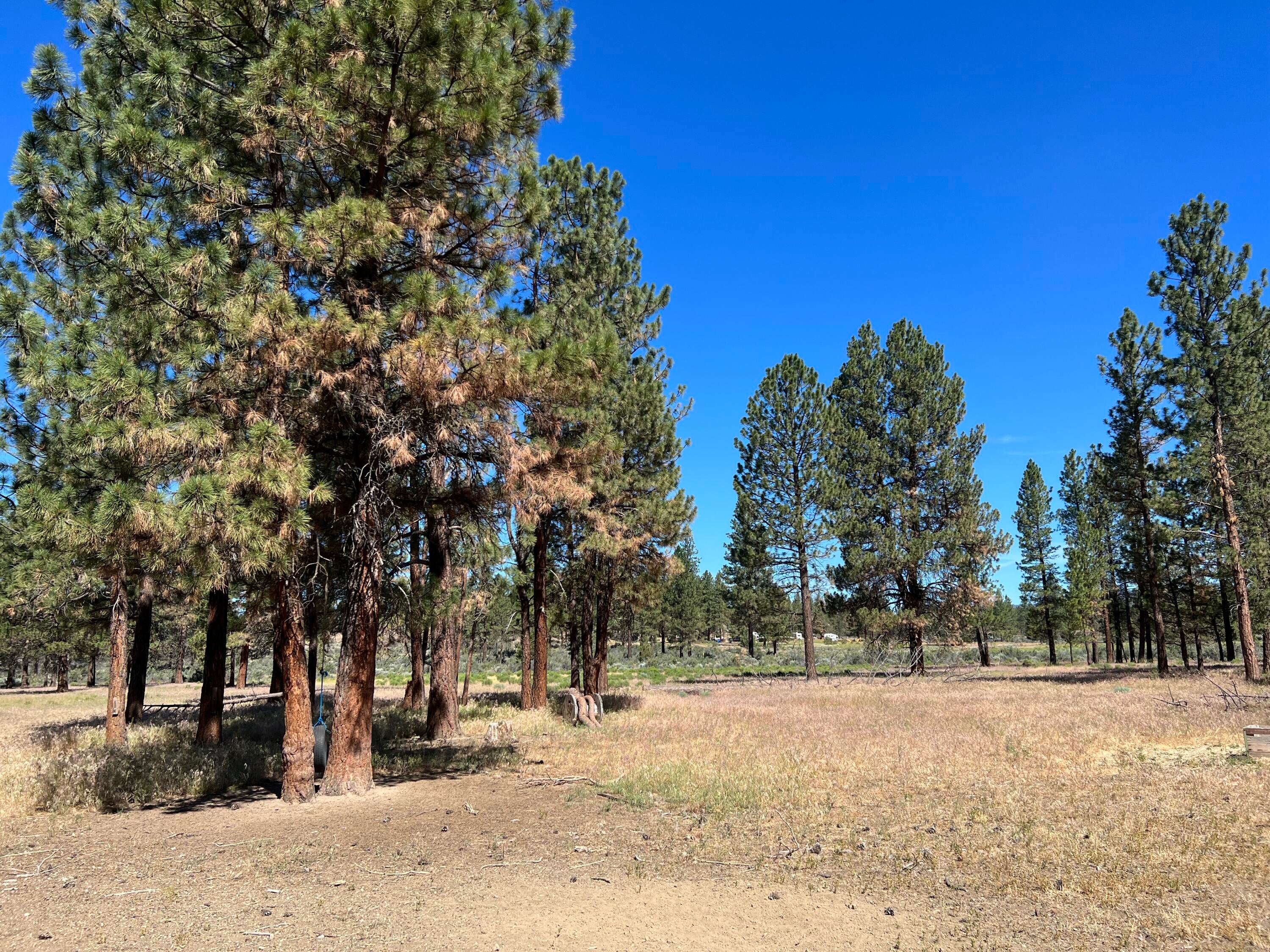 46612 Sycan Road Beatty, OR 97621 - Photo 4 of 16 IMG_0148