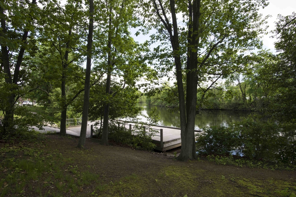 4 Repton Place, Unit 4410 Watertown, MA 02472 - Photo 36 of 41 a view of a lake from a bench