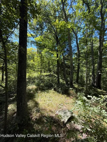 $99,000 | 399 Floyd Ackert Road, West Park, NY 12493