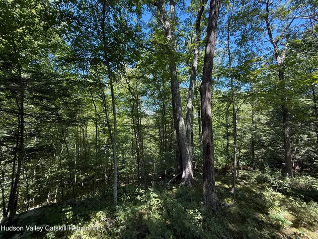 $99,000 | 399 Floyd Ackert Road, West Park, NY 12493