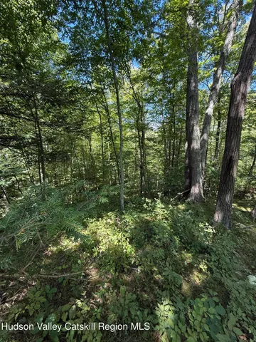 $99,000 | 399 Floyd Ackert Road, West Park, NY 12493