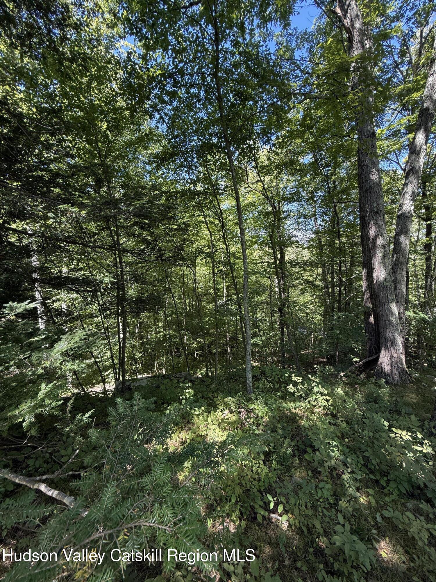 399 Floyd Ackert Road West Park, NY 12493 - Photo 14 of 30 a view of outdoor space and trees