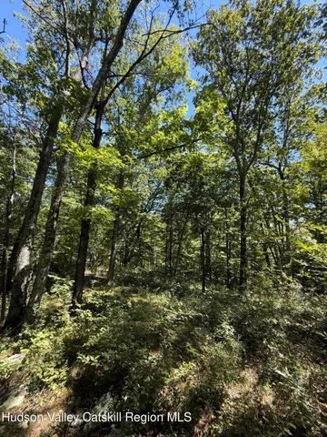 $99,000 | 399 Floyd Ackert Road, West Park, NY 12493