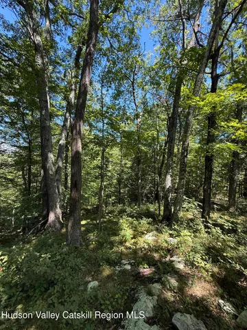 $99,000 | 399 Floyd Ackert Road, West Park, NY 12493