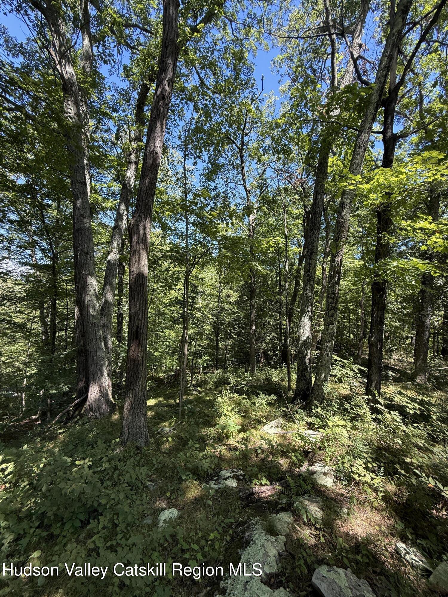 399 Floyd Ackert Road West Park, NY 12493 - Photo 16 of 30 a view of outdoor space