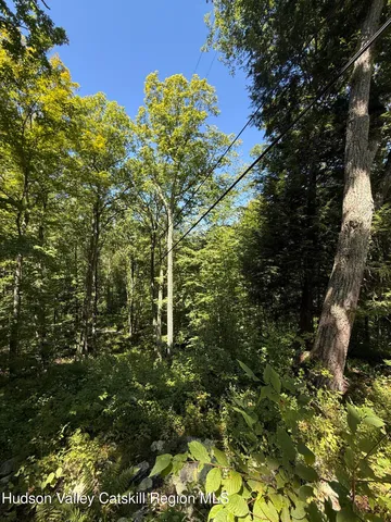 $99,000 | 399 Floyd Ackert Road, West Park, NY 12493