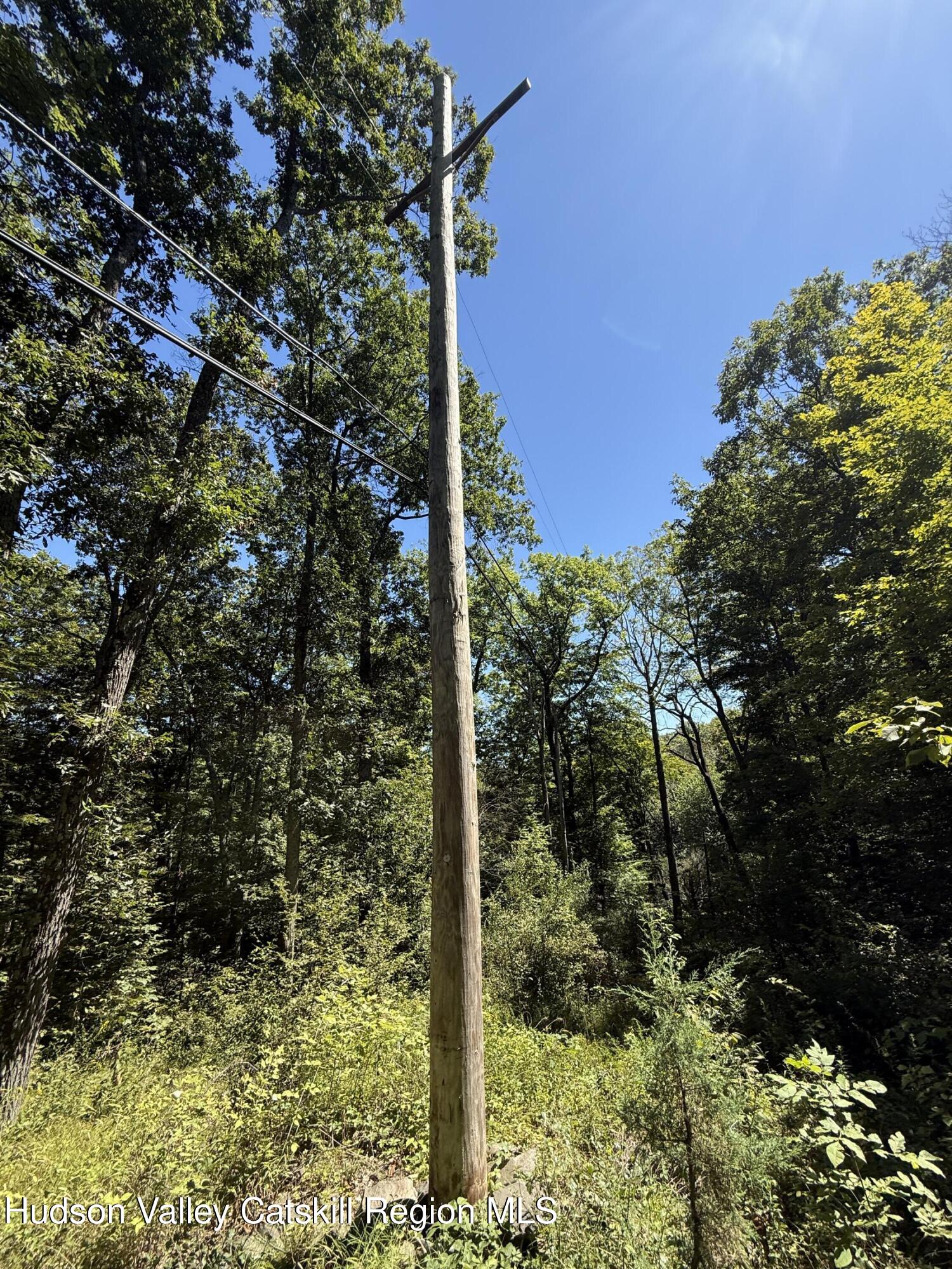 399 Floyd Ackert Road West Park, NY 12493 - Photo 19 of 30 a view of a garden