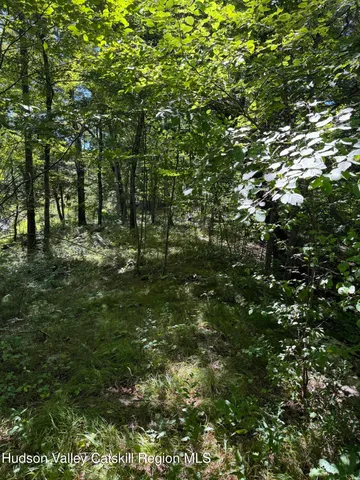 $99,000 | 399 Floyd Ackert Road, West Park, NY 12493