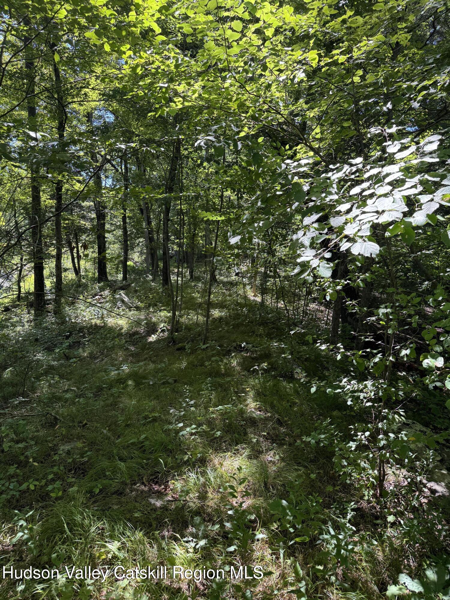 399 Floyd Ackert Road West Park, NY 12493 - Photo 20 of 30 a view of outdoor space and trees