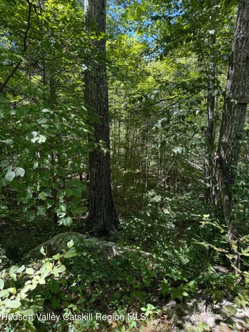 $99,000 | 399 Floyd Ackert Road, West Park, NY 12493