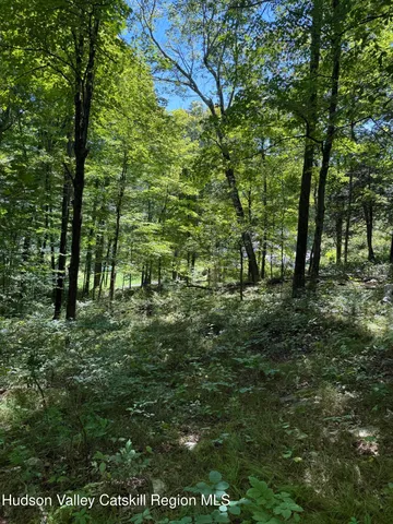 $99,000 | 399 Floyd Ackert Road, West Park, NY 12493