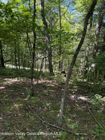 $99,000 | 399 Floyd Ackert Road, West Park, NY 12493