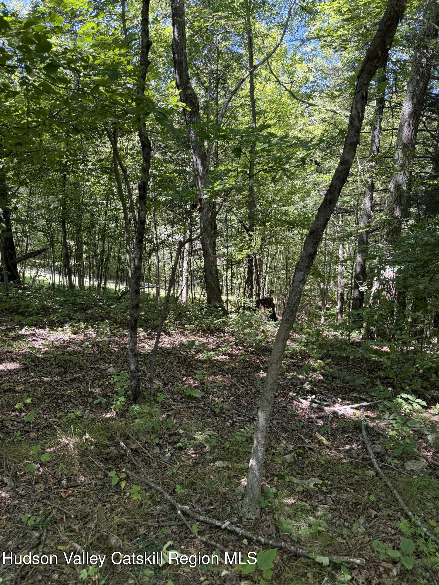 399 Floyd Ackert Road West Park, NY 12493 - Photo 24 of 30 a backyard of a house with lots of green space