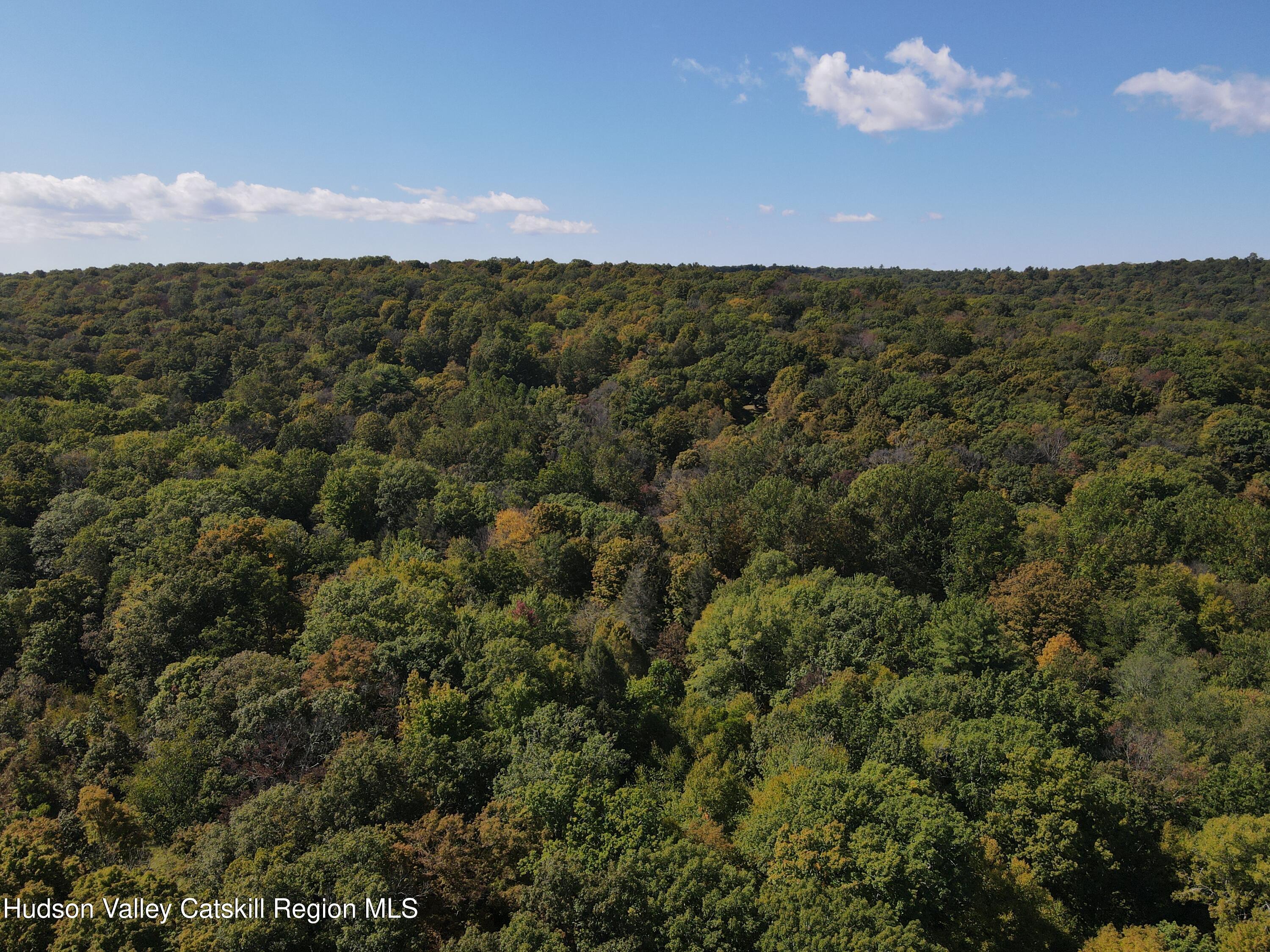 399 Floyd Ackert Road West Park, NY 12493 - Photo 28 of 30 an aerial view of residential houses with outdoor space and trees