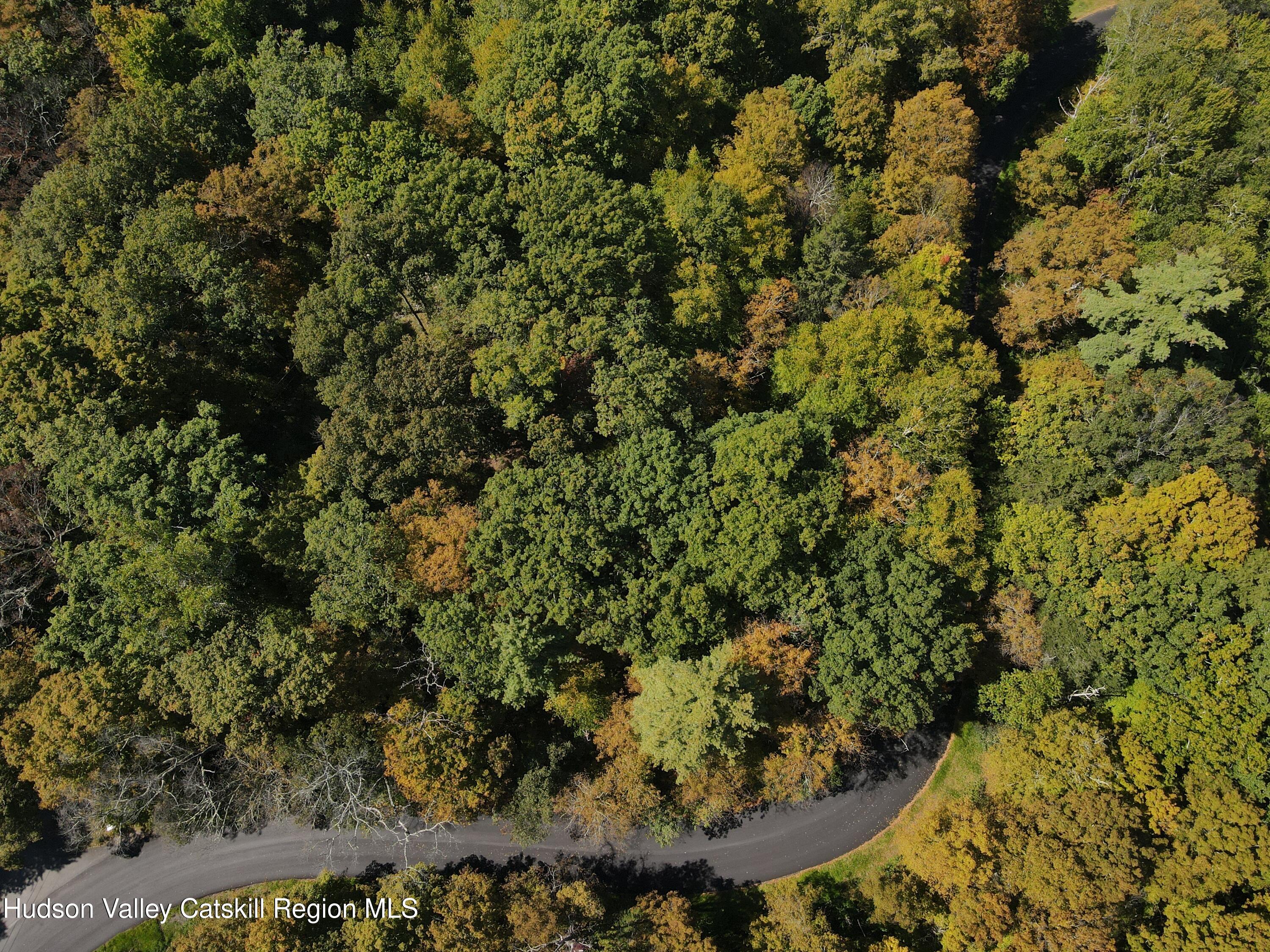 399 Floyd Ackert Road West Park, NY 12493 - Photo 29 of 30