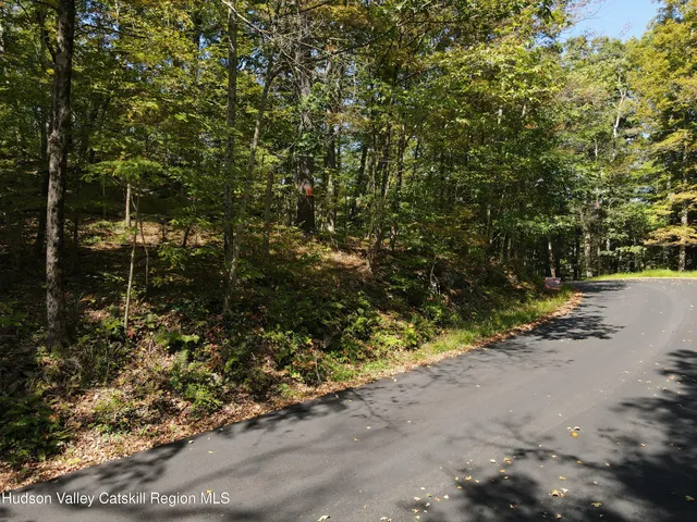 $99,000 | 399 Floyd Ackert Road, West Park, NY 12493
