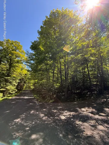 $99,000 | 399 Floyd Ackert Road, West Park, NY 12493