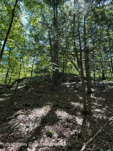 $99,000 | 399 Floyd Ackert Road, West Park, NY 12493