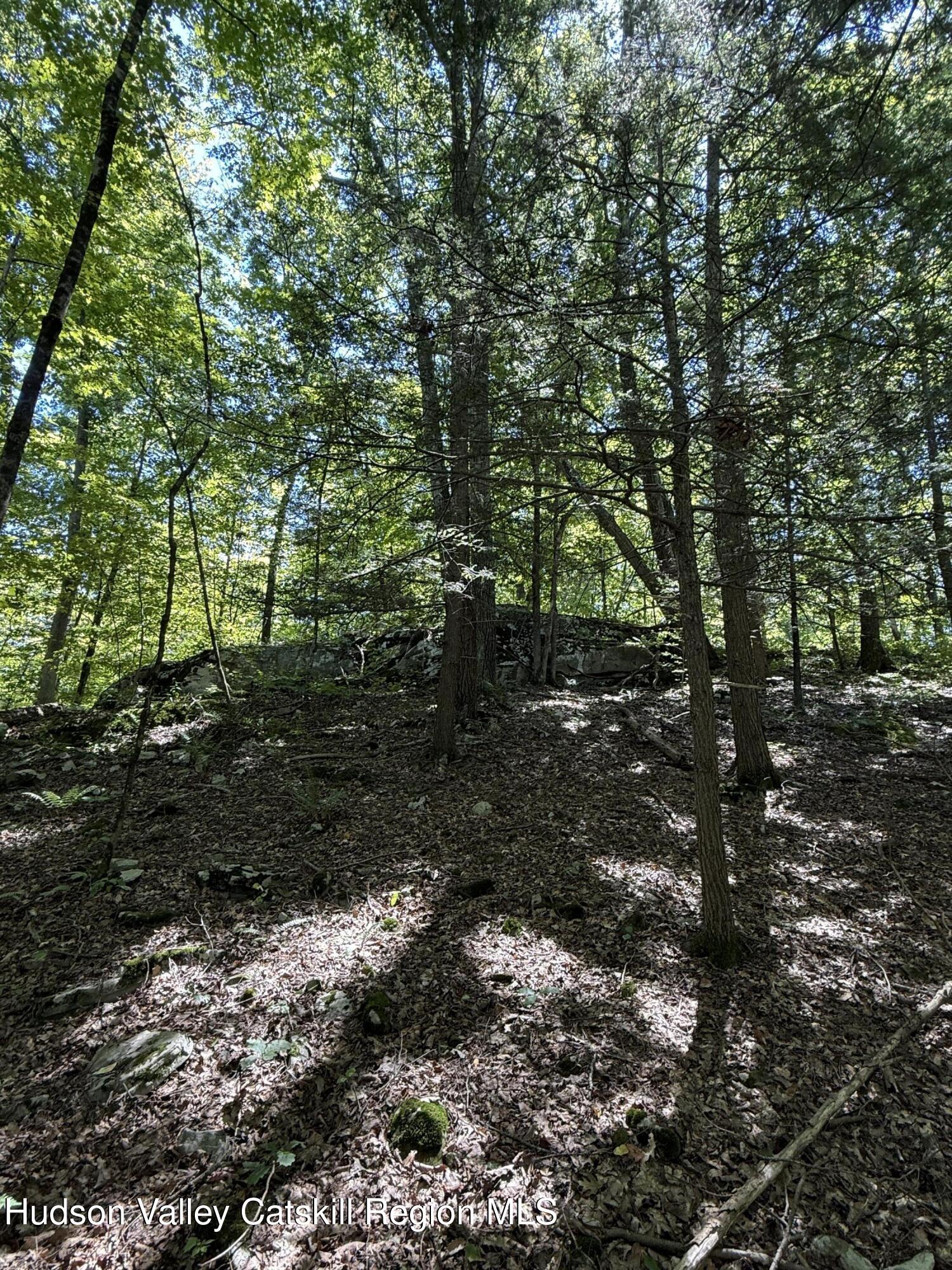 399 Floyd Ackert Road West Park, NY 12493 - Photo 4 of 30 a big yard with lots of green space