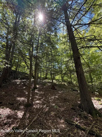 $99,000 | 399 Floyd Ackert Road, West Park, NY 12493