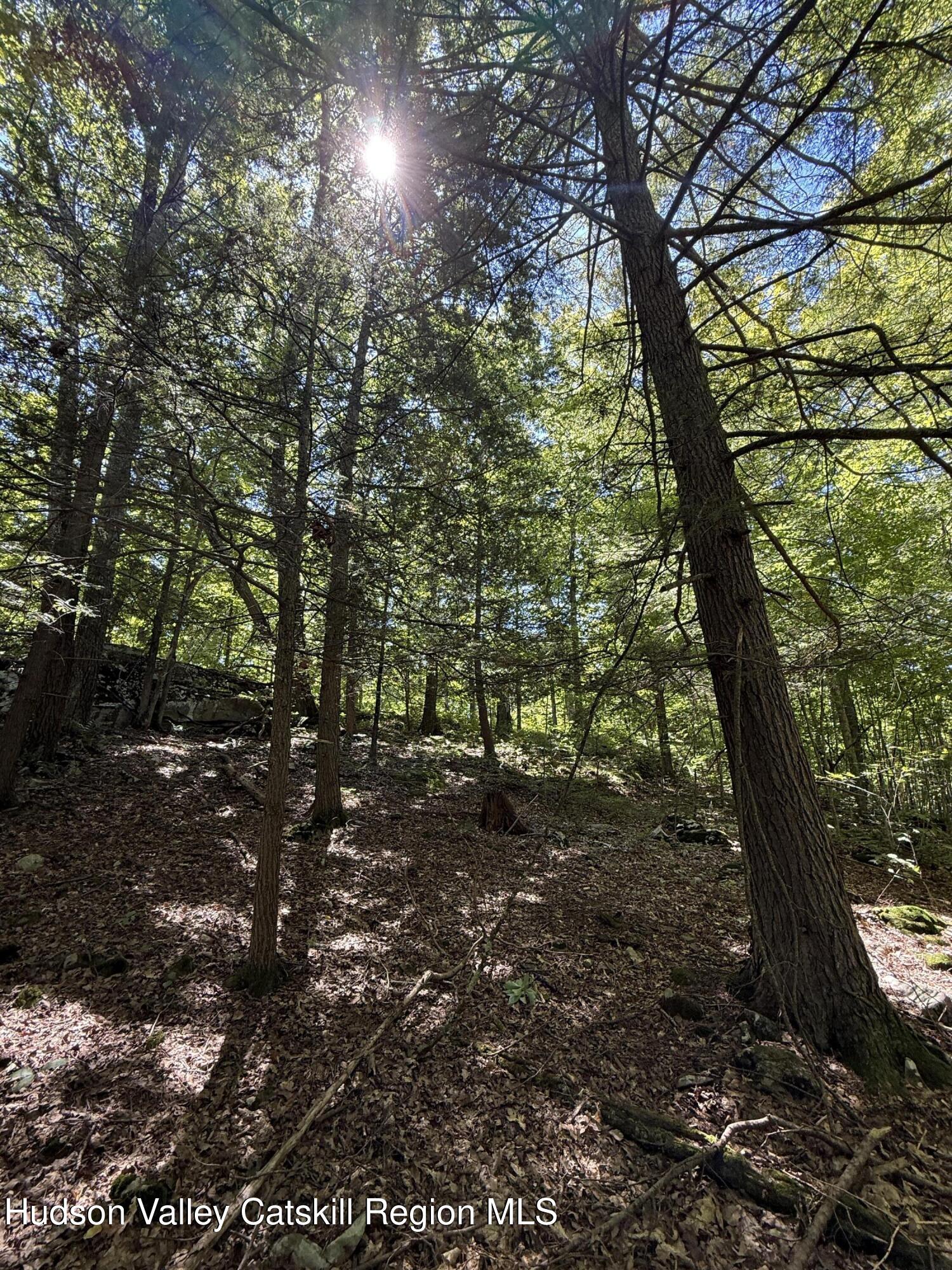 399 Floyd Ackert Road West Park, NY 12493 - Photo 5 of 30 a backyard of a house with lots of green space