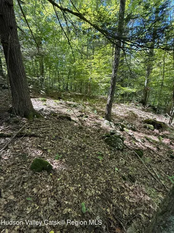 $99,000 | 399 Floyd Ackert Road, West Park, NY 12493