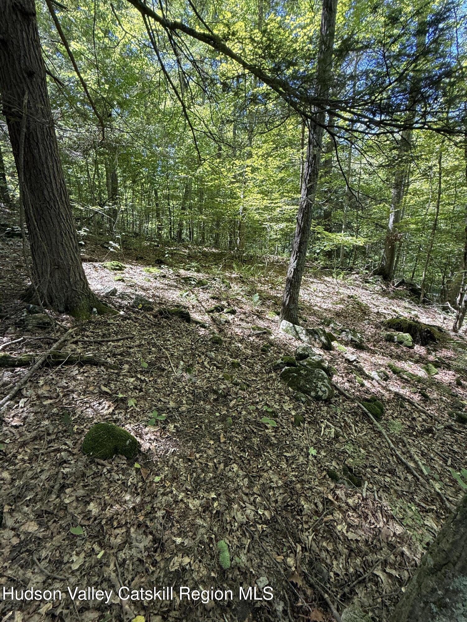 399 Floyd Ackert Road West Park, NY 12493 - Photo 6 of 30 a view of outdoor space and trees